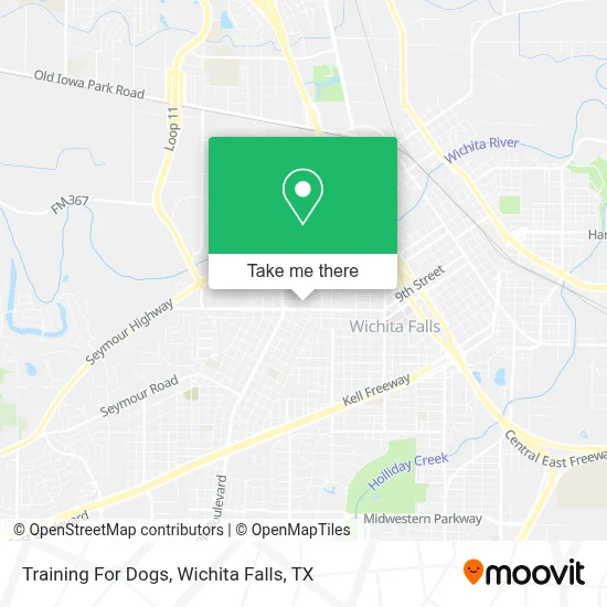 Training For Dogs map