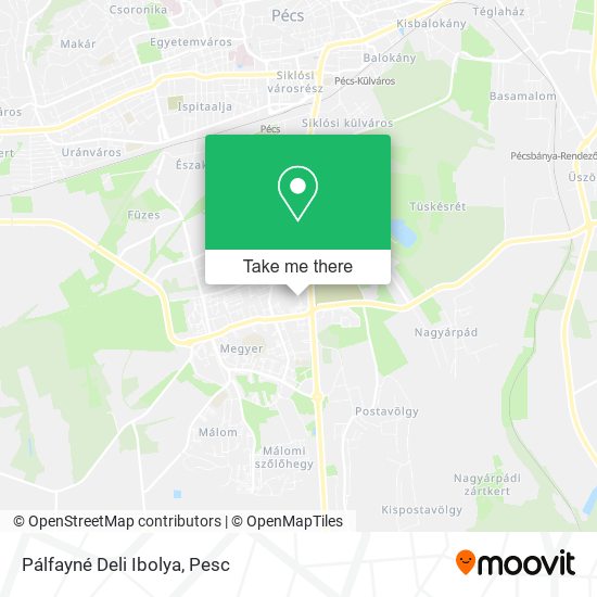 Pálfayné Deli Ibolya map