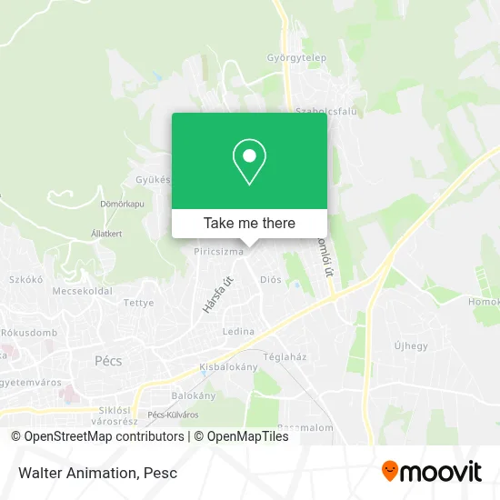 Walter Animation map
