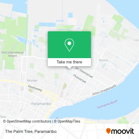 The Palm Tree map