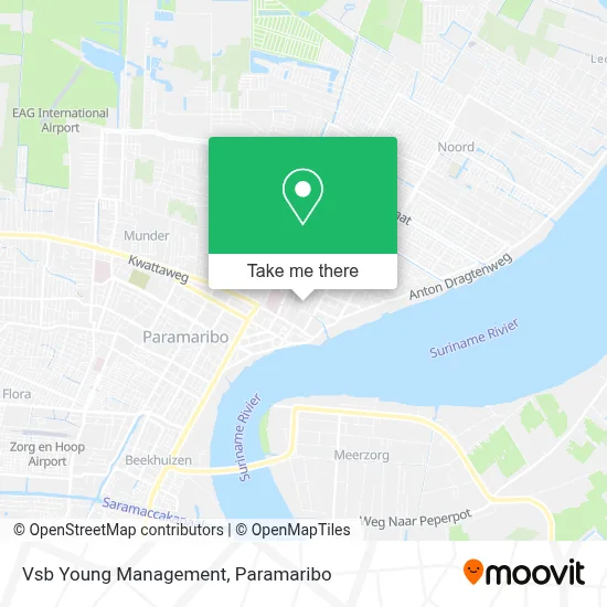 Vsb Young Management map
