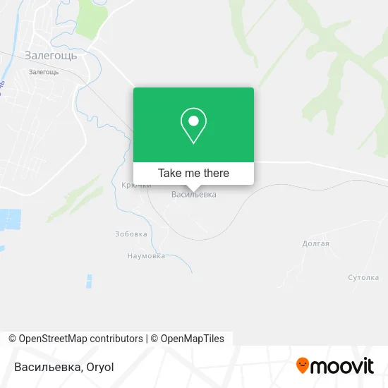 Васильевка map