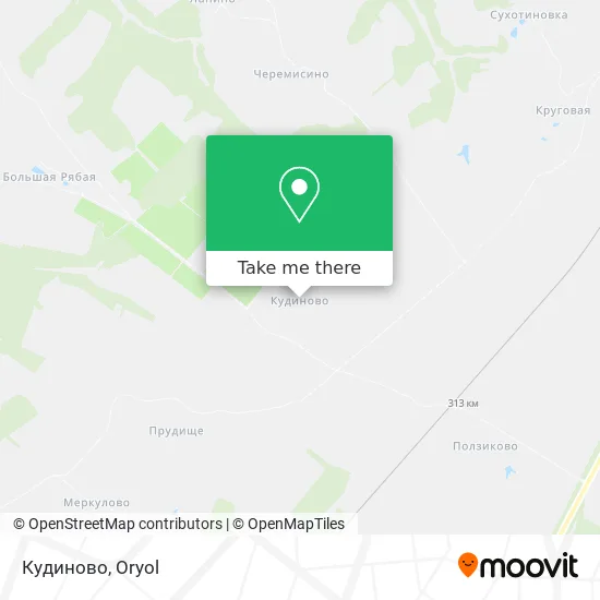 Кудиново map