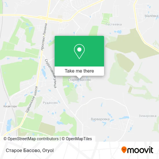 Старое Басово map