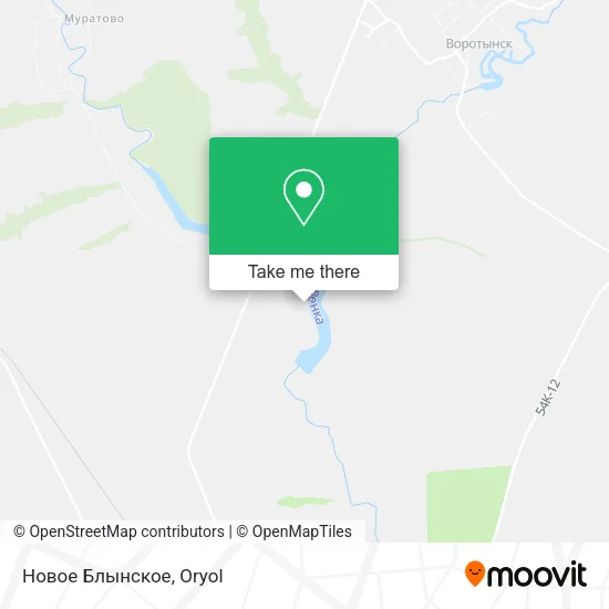 Новое Блынское map