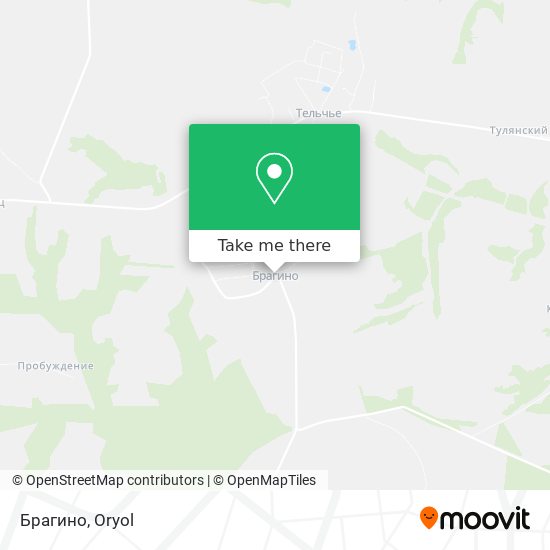 Брагино map