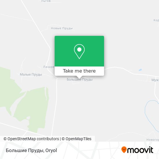 Большие Пруды map