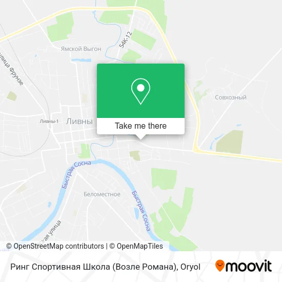 Ринг Спортивная Школа (Возле Романа) map
