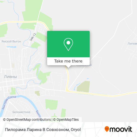 Пилорама Ларина В Совхозном map