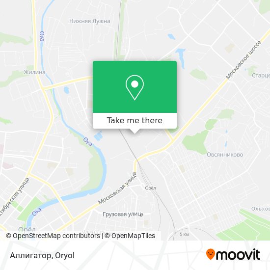Аллигатор map