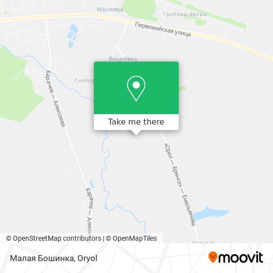 Малая Бошинка map