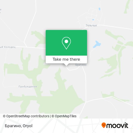 Брагино map