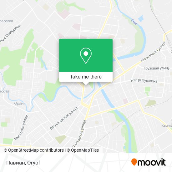 Павиан map