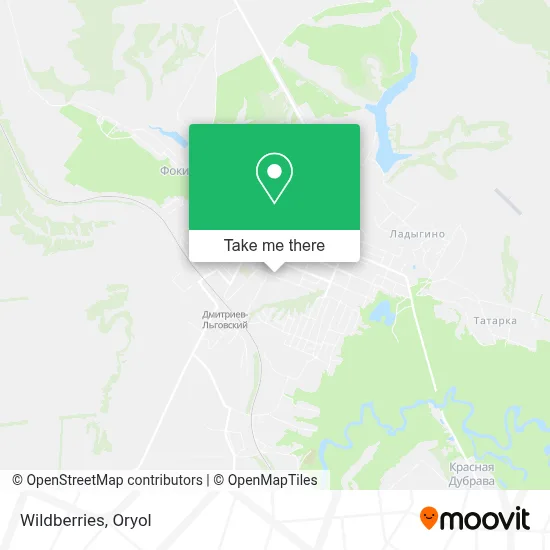 Wildberries map