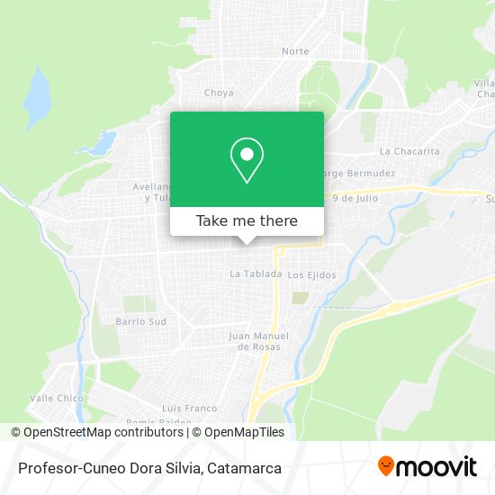 Profesor-Cuneo Dora Silvia map