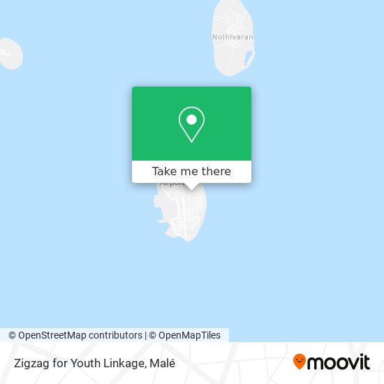 Zigzag for Youth Linkage map