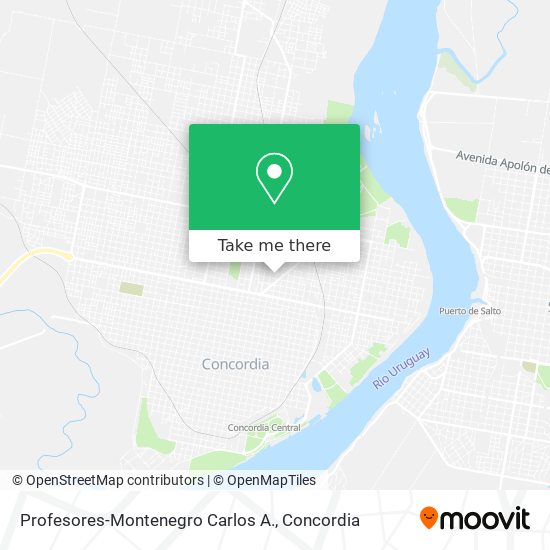 Mapa de Profesores-Montenegro Carlos A.
