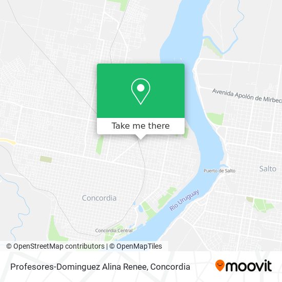 Profesores-Dominguez Alina Renee map