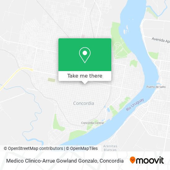 Medico Clinico-Arrue Gowland Gonzalo map