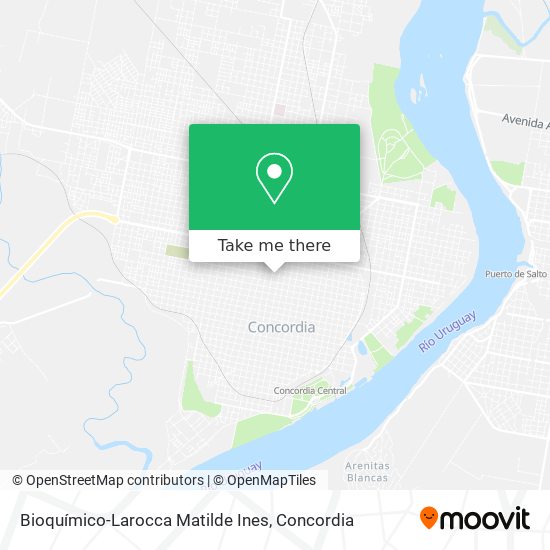 Mapa de Bioquímico-Larocca Matilde Ines