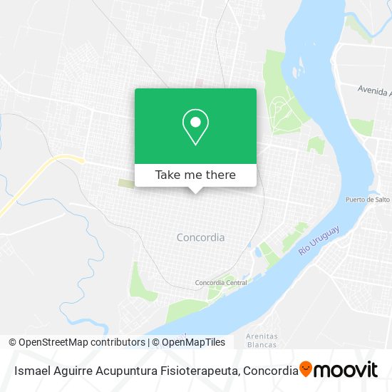 Ismael Aguirre Acupuntura Fisioterapeuta map