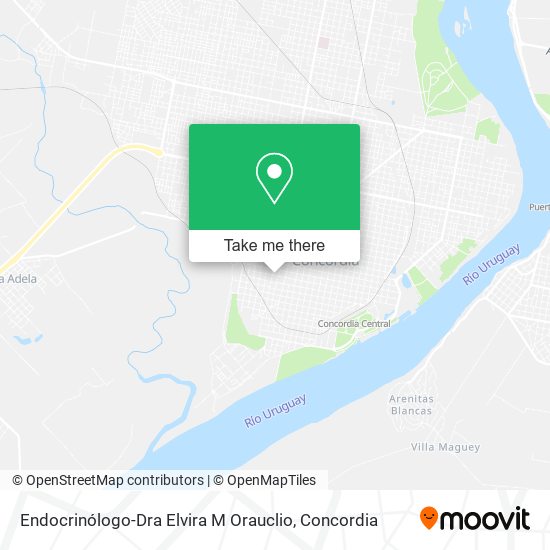 Endocrinólogo-Dra Elvira M Orauclio map