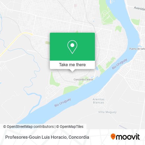 Profesores-Gouin Luis Horacio map