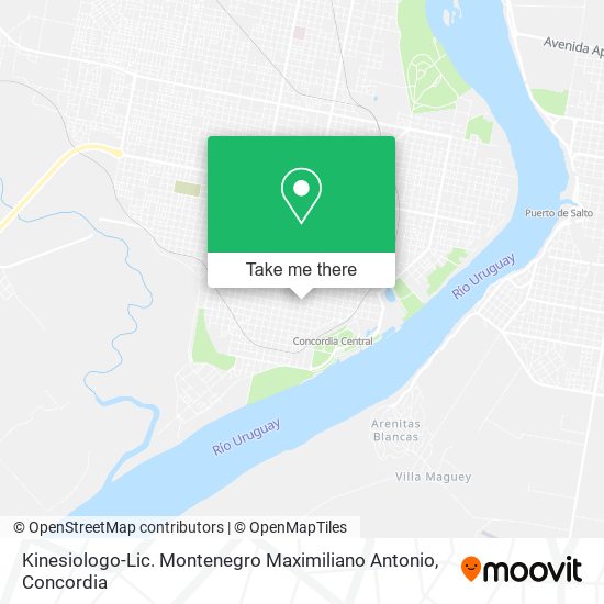 Kinesiologo-Lic. Montenegro Maximiliano Antonio map