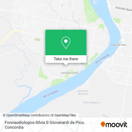 Fonoaudiologos-Silvia G Giovanardi de Pico map