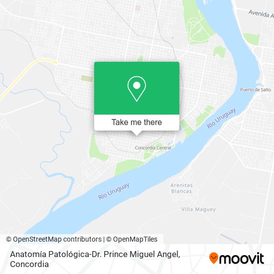 Anatomía Patológica-Dr. Prince Miguel Angel map
