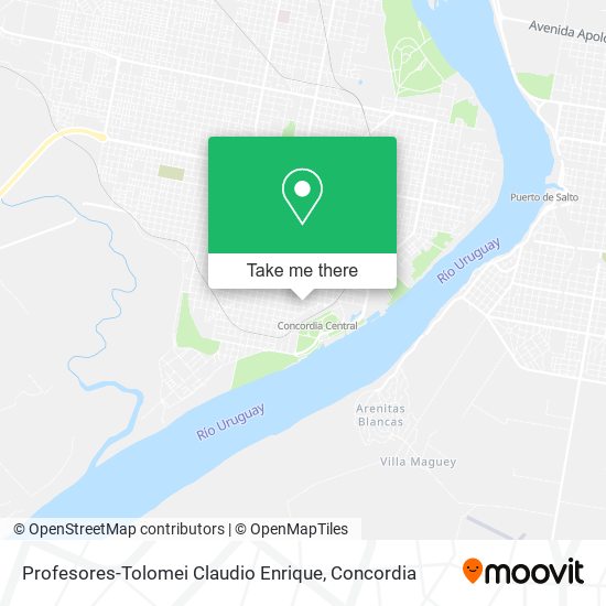 Mapa de Profesores-Tolomei Claudio Enrique