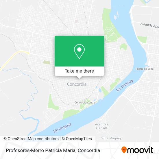 Profesores-Merro Patricia Maria map