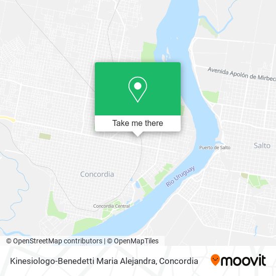 Mapa de Kinesiologo-Benedetti Maria Alejandra