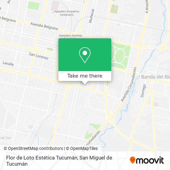 Mapa de Flor de Loto Estética Tucumán