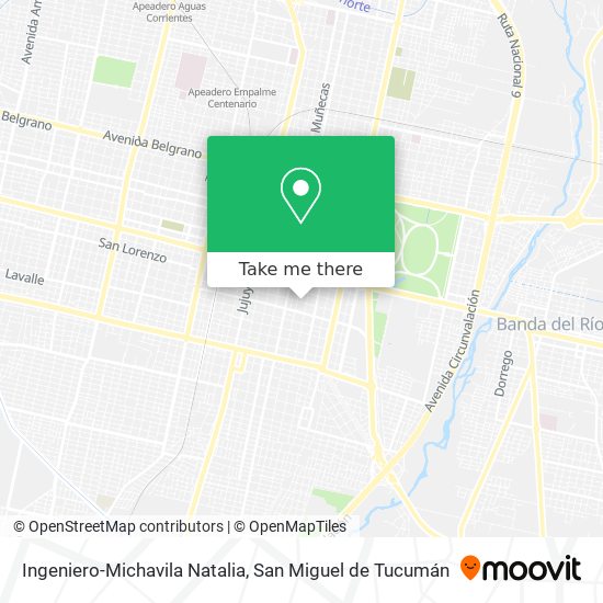 Ingeniero-Michavila Natalia map