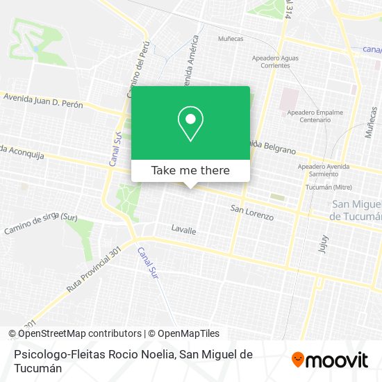 Psicologo-Fleitas Rocio Noelia map