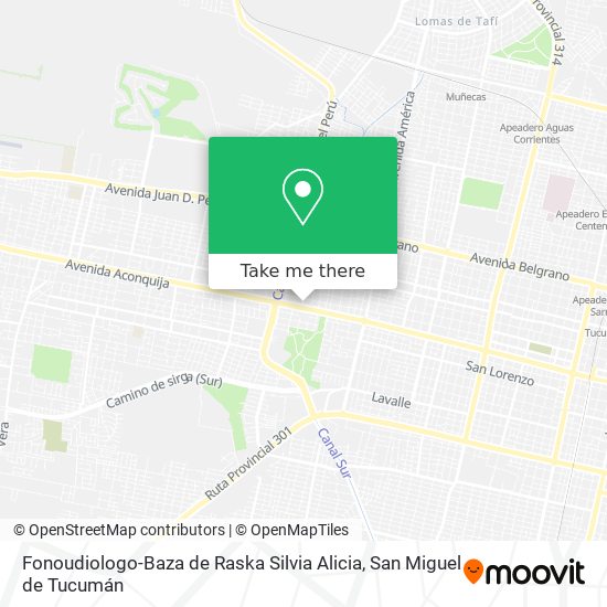 Mapa de Fonoudiologo-Baza de Raska Silvia Alicia