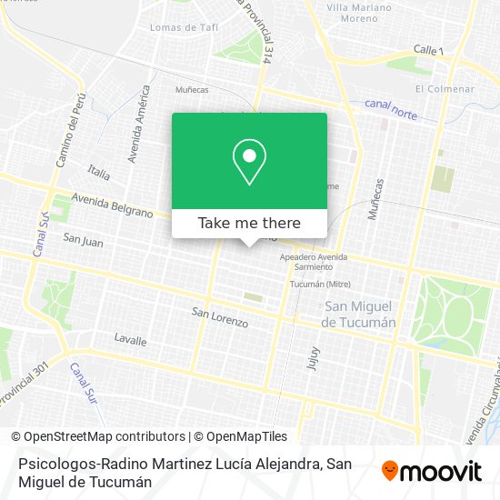 Mapa de Psicologos-Radino Martinez Lucía Alejandra