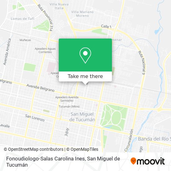 Fonoudiologo-Salas Carolina Ines map