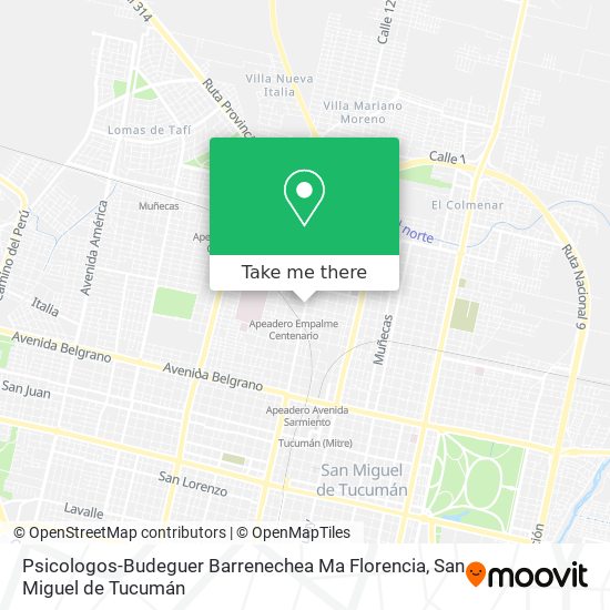 Mapa de Psicologos-Budeguer Barrenechea Ma Florencia