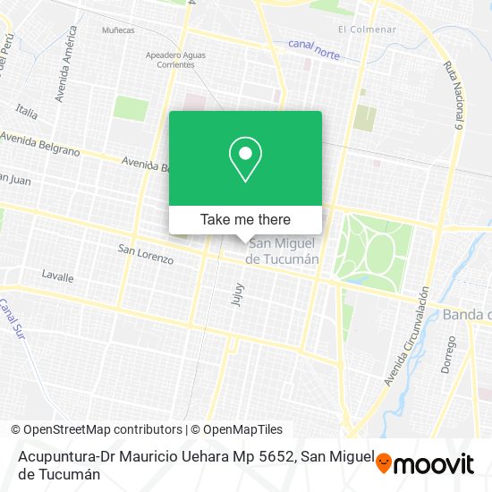 Mapa de Acupuntura-Dr Mauricio Uehara Mp 5652