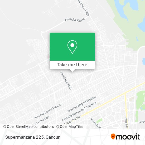 Mapa de Supermanzana 225