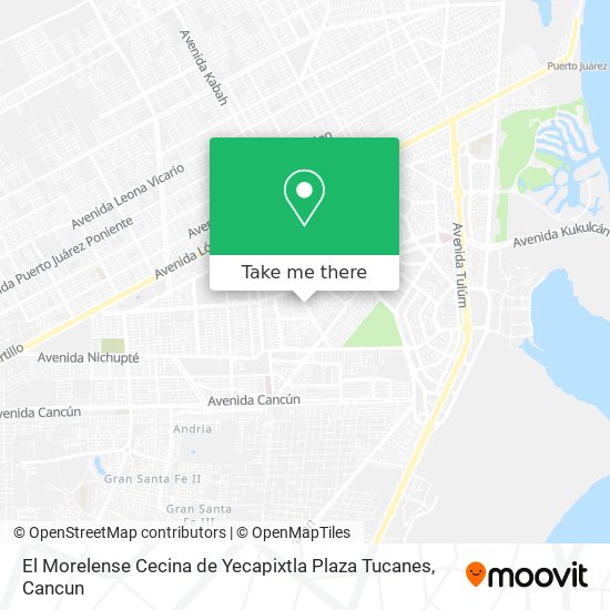 Mapa de El Morelense Cecina de Yecapixtla Plaza Tucanes