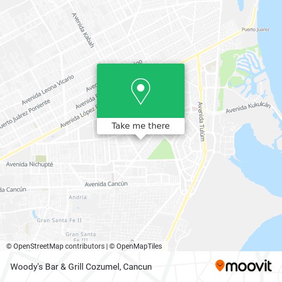 How to get to Woody's Bar & Grill Cozumel in Benito Juárez by Bus?