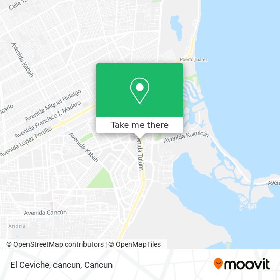 How to get to El Ceviche, cancun in Benito Juárez by Bus?