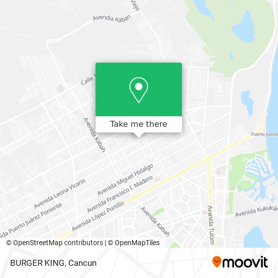 BURGER KING map