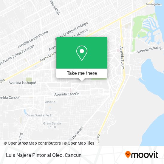 Mapa de Luis Najera Pintor al Oleo