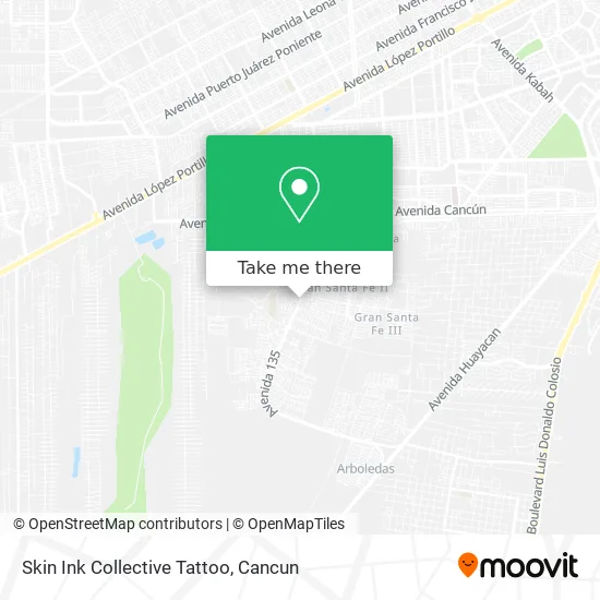 Skin Ink Collective Tattoo map