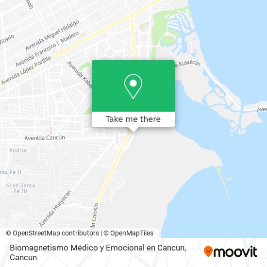 Mapa de Biomagnetismo Médico y Emocional en Cancun