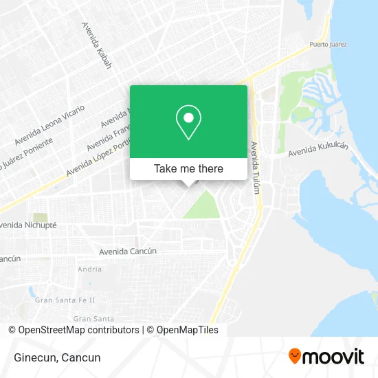 Ginecun map